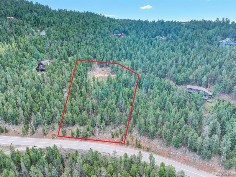 11275 Bear Run Trl, Conifer, CO 80433