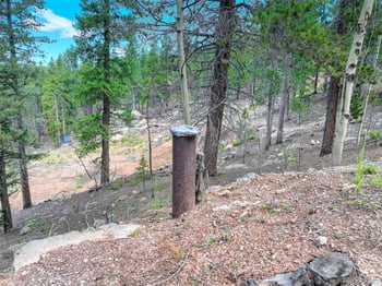 11275 Bear Run Trl, Conifer, CO 80433