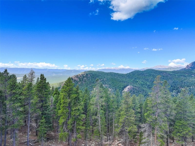 11275 Bear Run Trl, Conifer, CO 80433