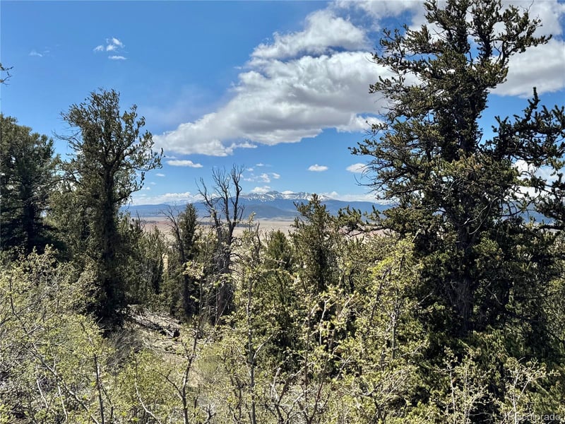 5013 Middle Fork Vi, Fairplay, CO 80440