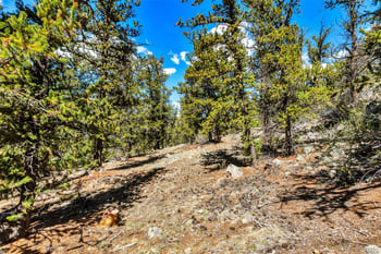 5013 Middle Fork Vi, Fairplay, CO 80440