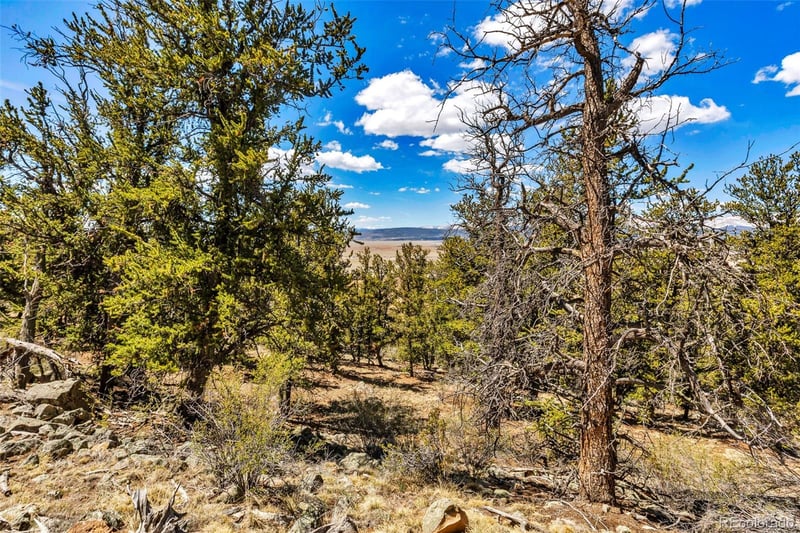 5013 Middle Fork Vi, Fairplay, CO 80440