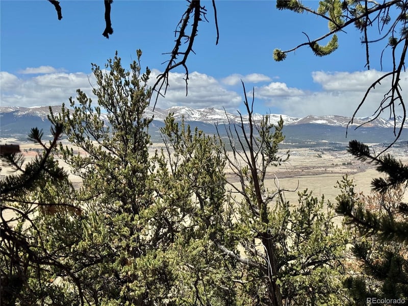 5013 Middle Fork Vi, Fairplay, CO 80440