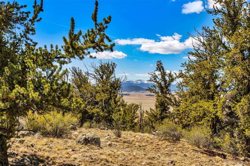 5013 Middle Fork Vi, Fairplay, CO 80440