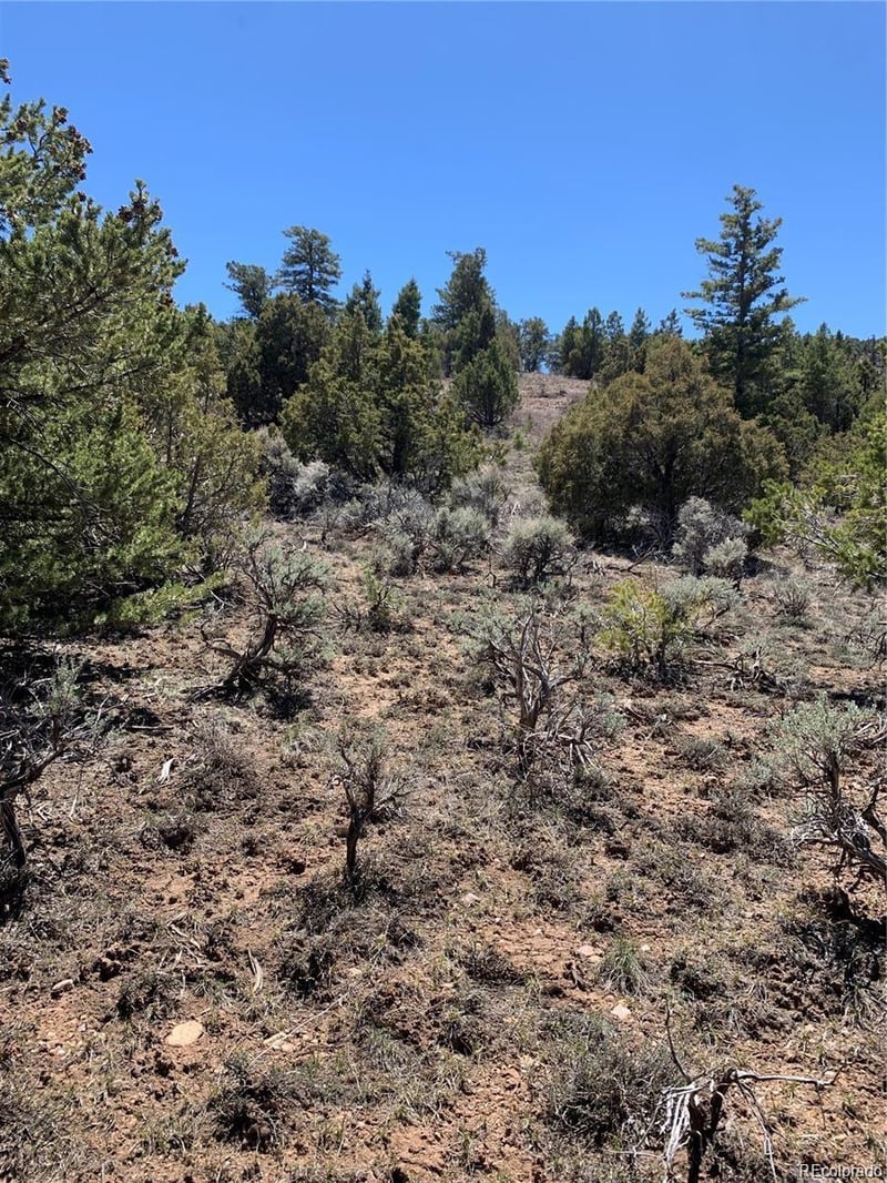 5401 Balleroy Rd, Fort Garland, CO 81133