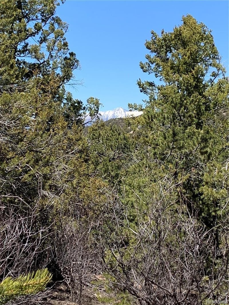 5401 Balleroy Rd, Fort Garland, CO 81133