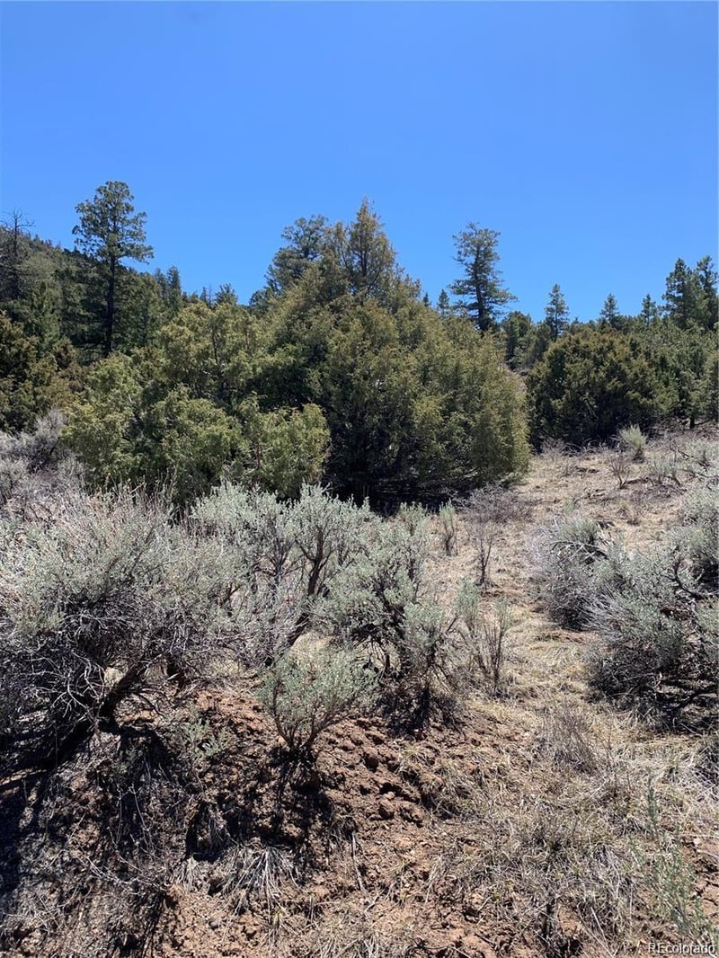 5401 Balleroy Rd, Fort Garland, CO 81133