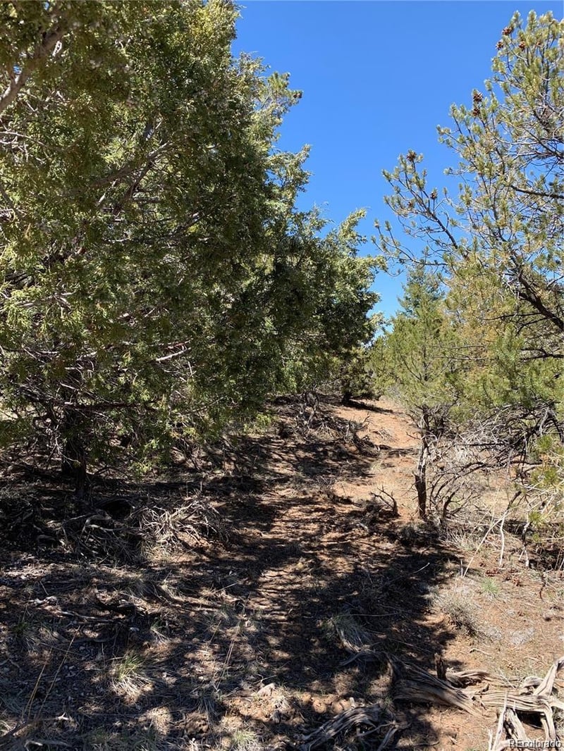 5401 Balleroy Rd, Fort Garland, CO 81133