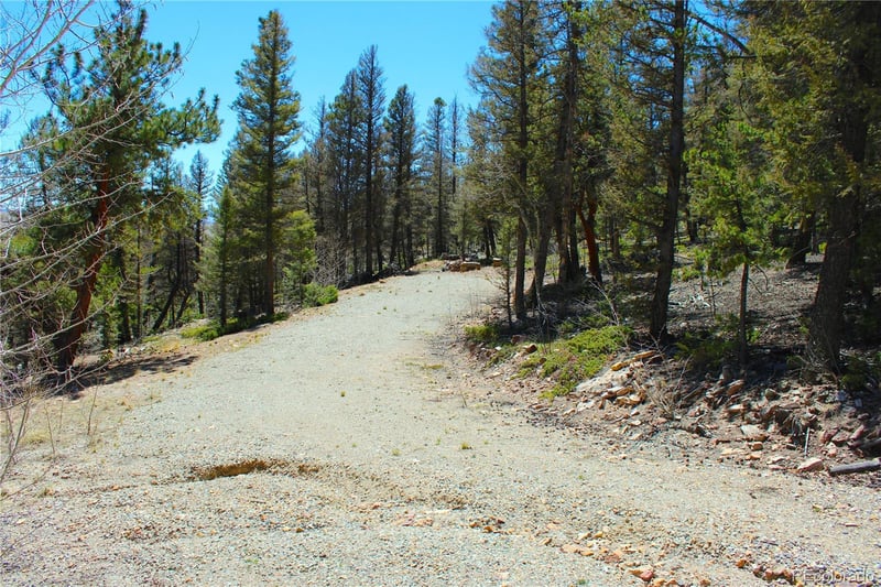 2882 Middle Fork Vi, Fairplay, CO 80440