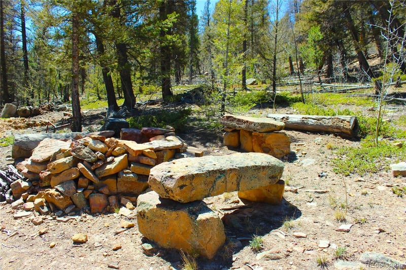 2882 Middle Fork Vi, Fairplay, CO 80440