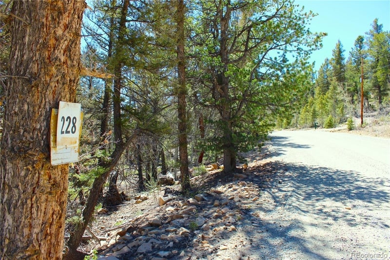 2882 Middle Fork Vi Lot 228, Fairplay, CO 80440