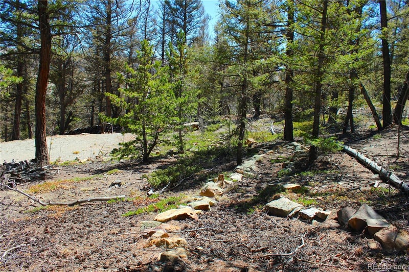 2882 Middle Fork Vi Lot 228, Fairplay, CO 80440