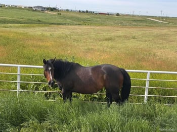 6450 County Road 181, Byers, CO 80103