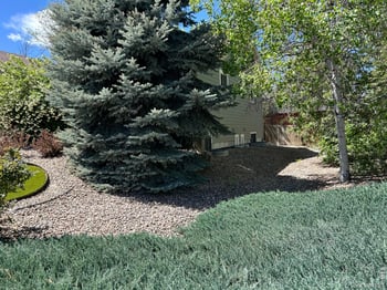 3845 Cody St, Wheat Ridge, CO 80033