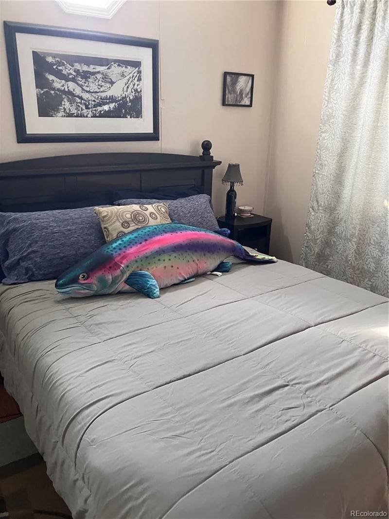 10795 County Road 197a #118, Nathrop, CO 81236