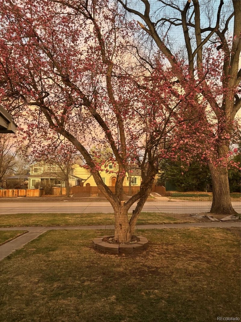 1439 University Blvd, Denver, CO 80210