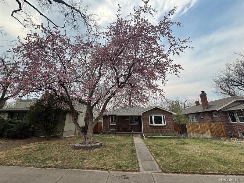 1439 University Blvd, Denver, CO 80210