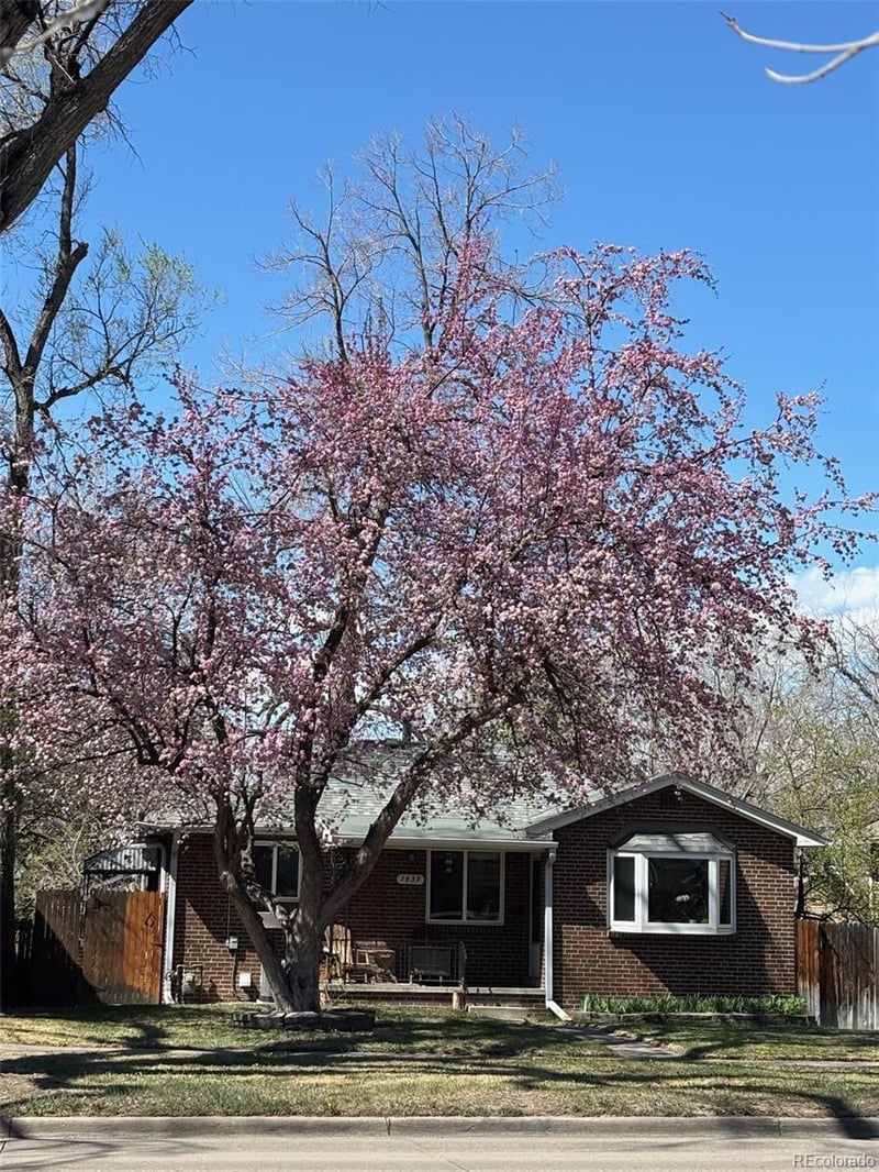 1439 University Blvd, Denver, CO 80210