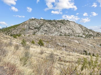 Bowser Ln, Drake, CO 80515