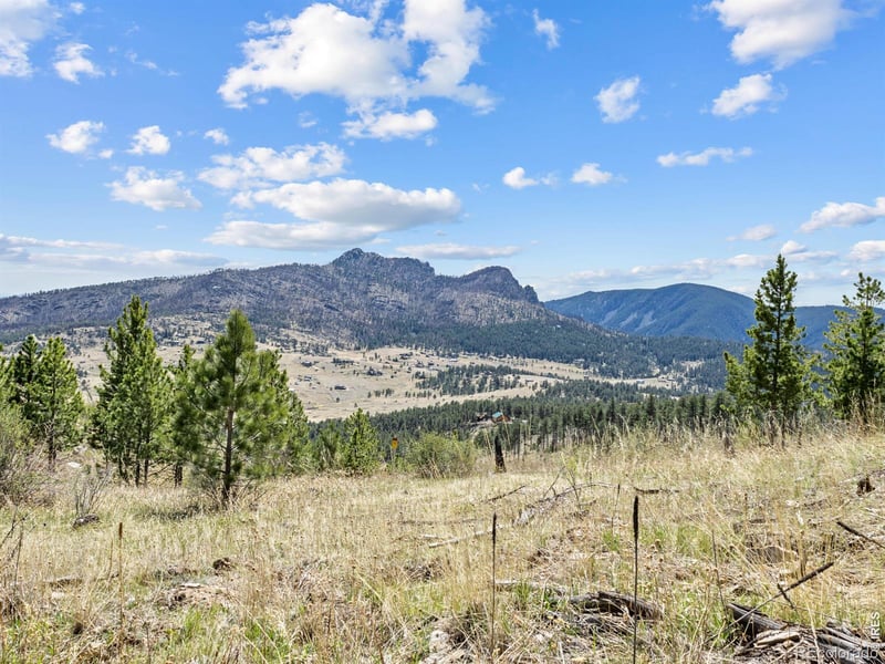 0 Bowser Ln, Drake, CO 80515