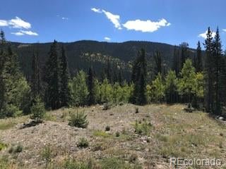 522 Quartzville Rd, Alma, CO 80420