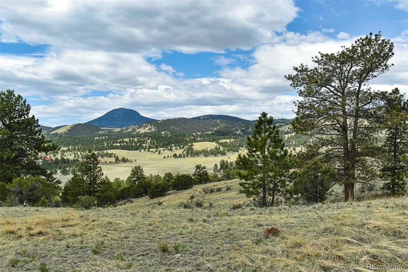 422 Buck Dr, Guffey, CO 80820
