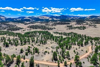 422 Buck Dr, Guffey, CO 80820