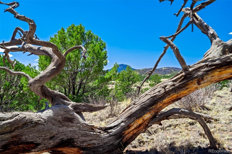 422 Buck Dr, Guffey, CO 80820