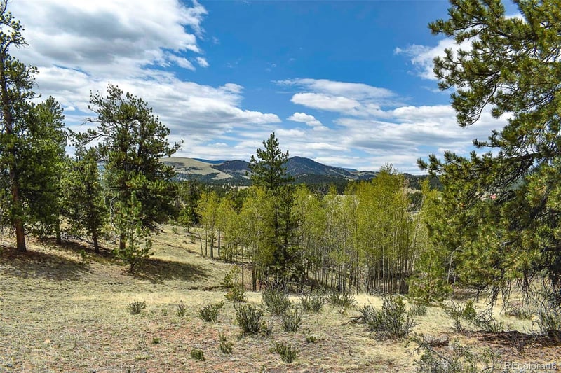 422 Buck Dr, Guffey, CO 80820