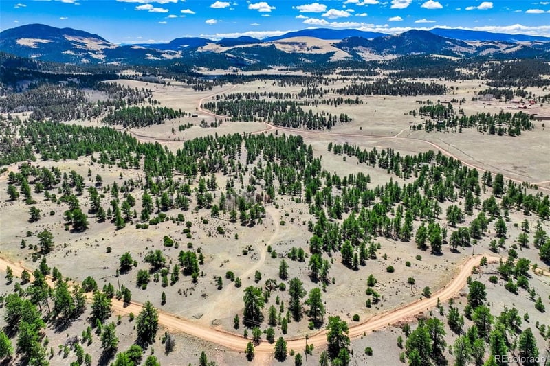 422 Buck Dr, Guffey, CO 80820