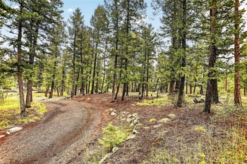 28221 Bonanza Dr, Evergreen, CO 80439