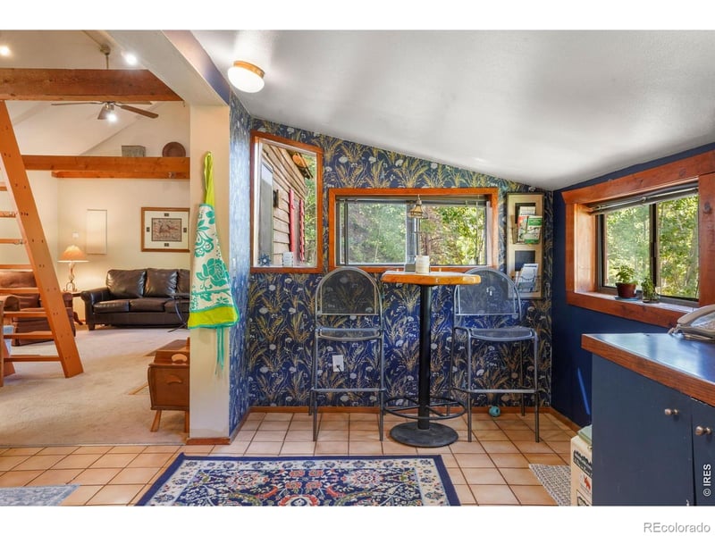 1410 Caribou Rd, Nederland, CO 80466