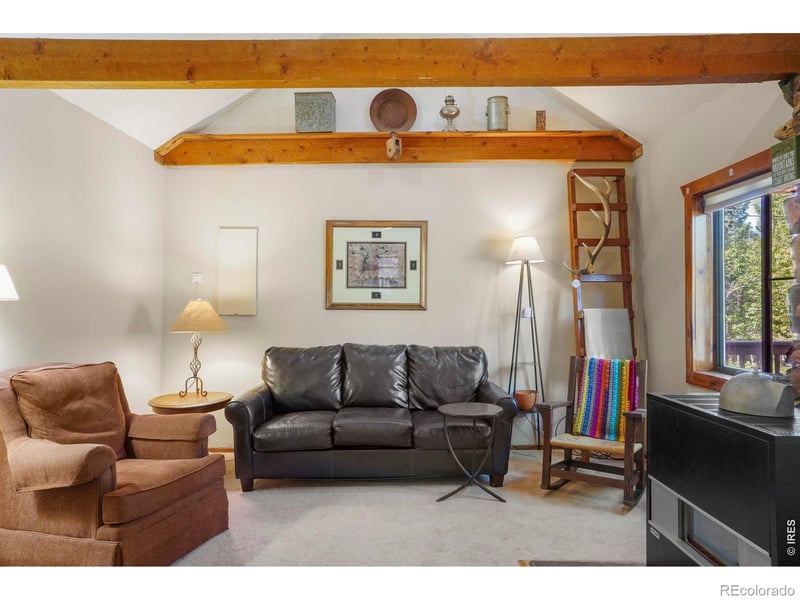 1410 Caribou Rd, Nederland, CO 80466