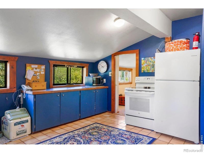 1410 Caribou Rd, Nederland, CO 80466