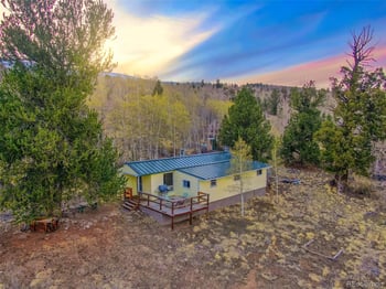 26 Meadow Dr, Fairplay, CO 80440