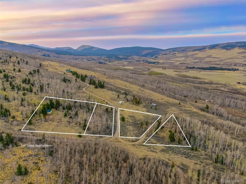 26 Meadow Dr, Fairplay, CO 80440