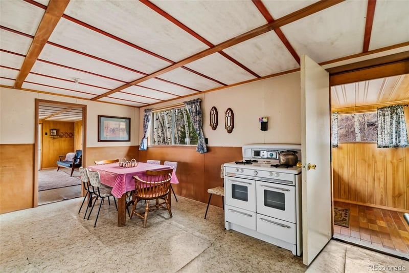 26 Meadow Dr, Fairplay, CO 80440