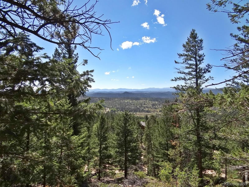 203 Mattapony Way, Red Feather Lakes, CO 80545