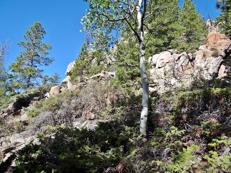 203 Mattapony Way, Red Feather Lakes, CO 80545