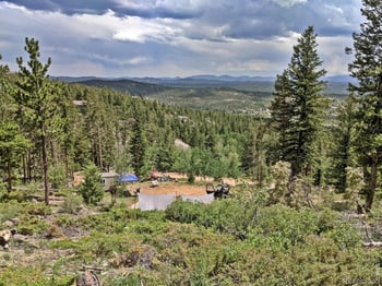 203 Mattapony Way, Red Feather Lakes, CO 80545
