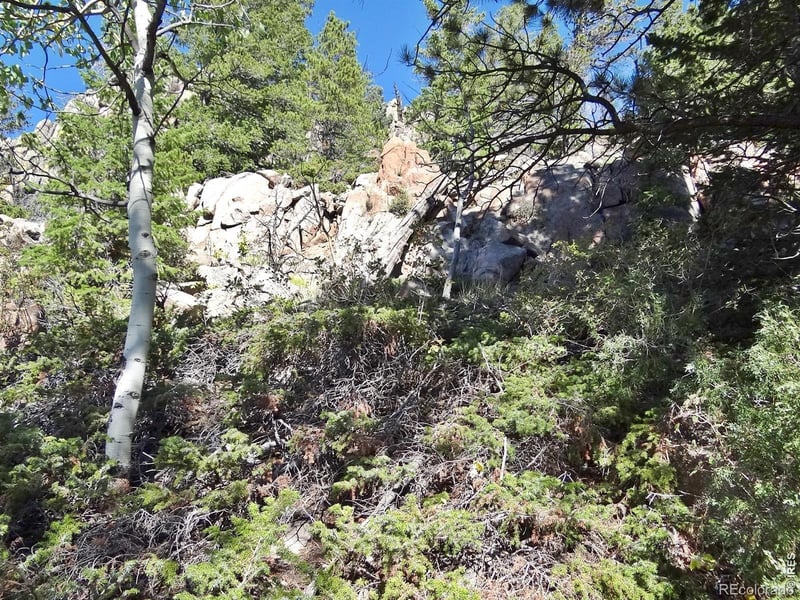 203 Mattapony Way, Red Feather Lakes, CO 80545