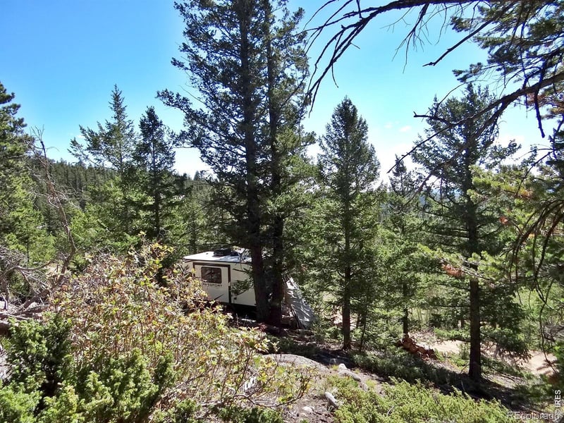 203 Mattapony Way, Red Feather Lakes, CO 80545