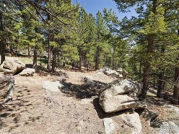 213 Rocky Knob Ln, Nederland, CO 80466