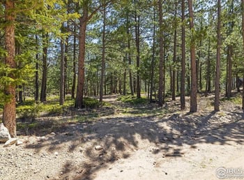 213 Rocky Knob Ln, Nederland, CO 80466