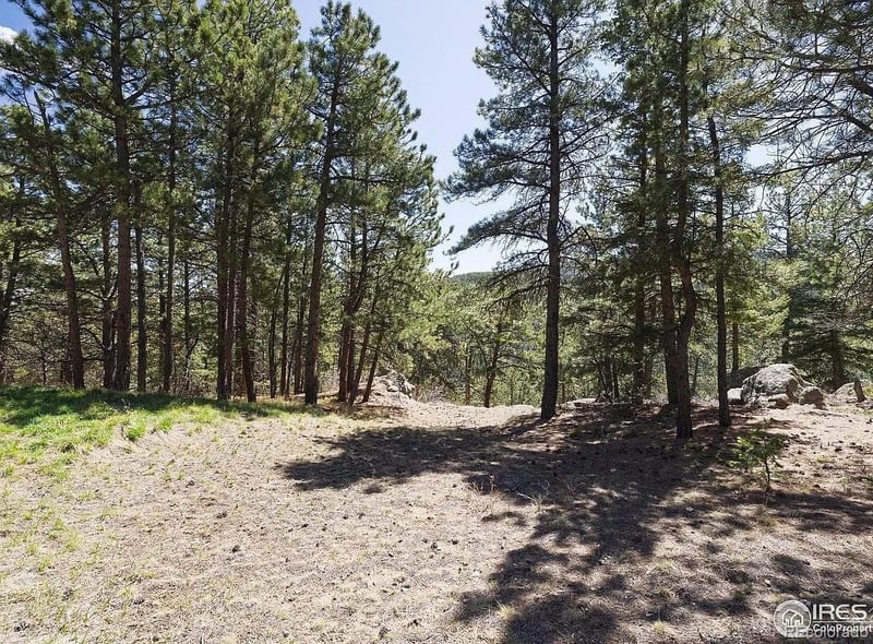 213 Rocky Knob Ln, Nederland, CO 80466