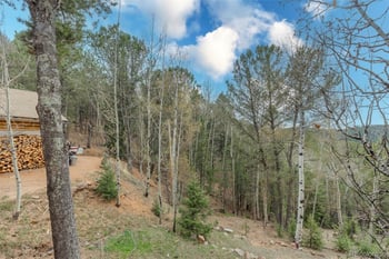 847 Timber Ridge Rd, Divide, CO 80814