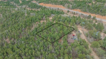 881 Timber Ridge Rd, Divide, CO 80814