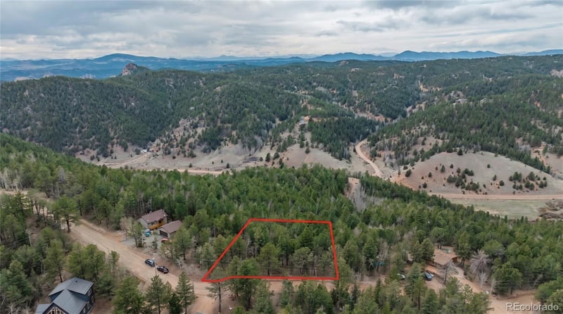 881 Timber Ridge Rd, Divide, CO 80814