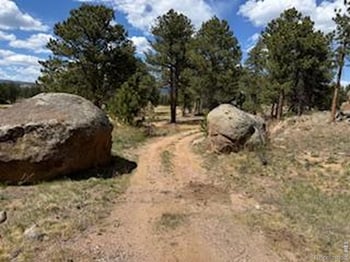 2215 Fox Acres Dr, Red Feather Lakes, CO 80545