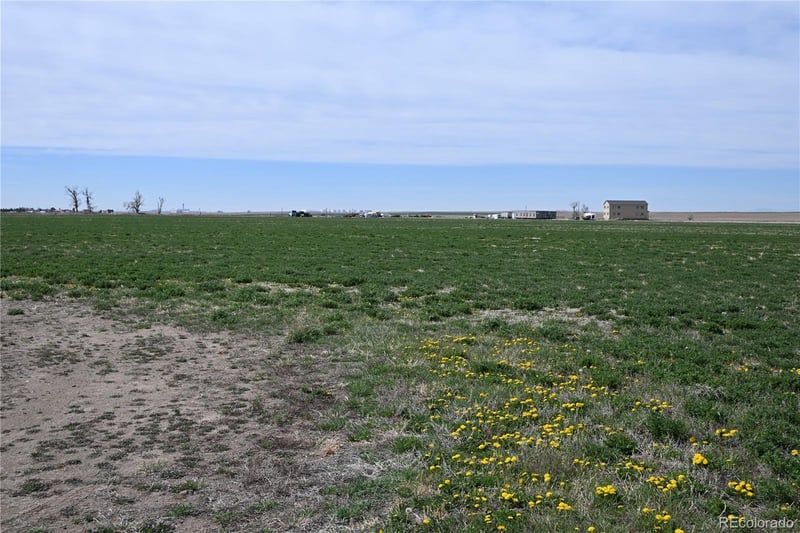 13955 Lanewood St, Brighton, CO 80603